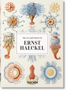 ERNST HAECKEL GB (40)