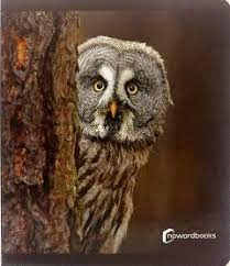 LOS ANIMALES DEL BOSQUE