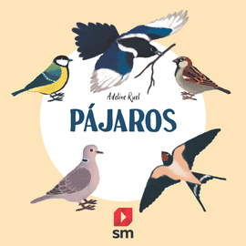 NATURALEZA PAJAROS