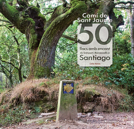 CAM DE SANT JAUME: 50 LLOCS AMB ENCANT DE SOMPORT I RONCESVALLS A SANTIAGO