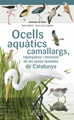 OCELLS AQUATICS CAMALLARGS, RAPINYAIRES I MOIXONS