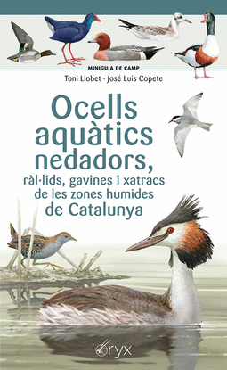 OCELLS AQUATICS NEDADORS, RALULIDS, GAVINES I XATR