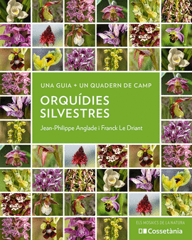 ORQUDIES SILVESTRES