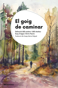 EL GOIG DE CAMINAR