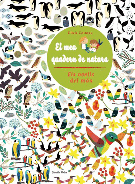 EL MEU QUADERN DE NATURA: ELS OCELLS DEL M�N