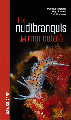 NUDIBRANQUIS DEL MAR CATAL�, ELS