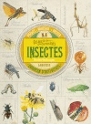 COL.LECCI DE CURIOSITATS. INSECTES