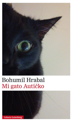 MI GATO AUT�CKO