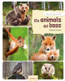 ELS ANIMALS DEL BOSC