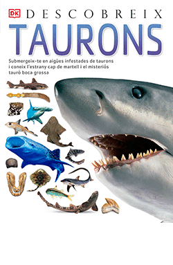 TAURONS, DESCOBREIX DK