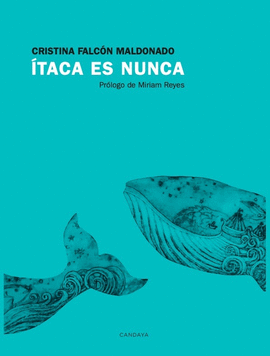 TACA ES NUNCA