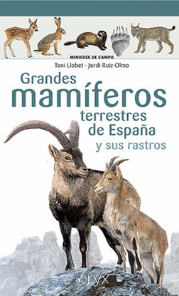 GRANDES MAMFEROS TERRESTRES DE ESPAA Y SUS RASTROS