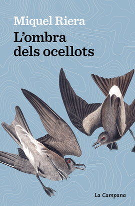 OMBRA DELS OCELLOTS, L'