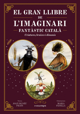 EL GRAN LLIBRE DE L'IMAGINARI FANTSTIC CATAL