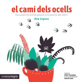 CAM DELS OCELLS, EL