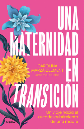 UNA MATERNIDAD EN TRANSICIN