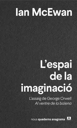 L'ESPAI DE LA IMAGINACI