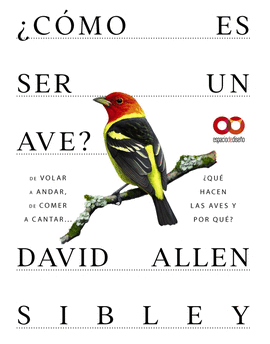 CMO ES SER UN AVE? DE VOLAR A ANIDAR, DE COMER A CANTAR... QU HACEN LAS AVES