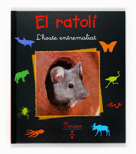 EL RATOLI