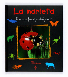 LA MARIETA. LA CUCA FEROTGE DEL JARDI