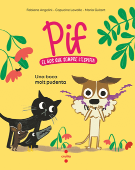 PIF 1. UNA BOCA MOLT PUDENTA