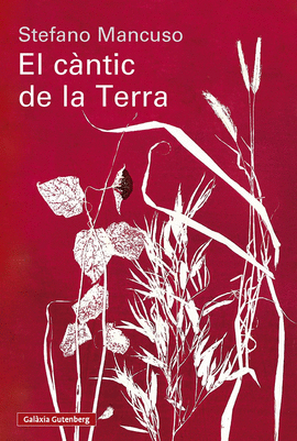 EL C�NTIC DE LA TERRA